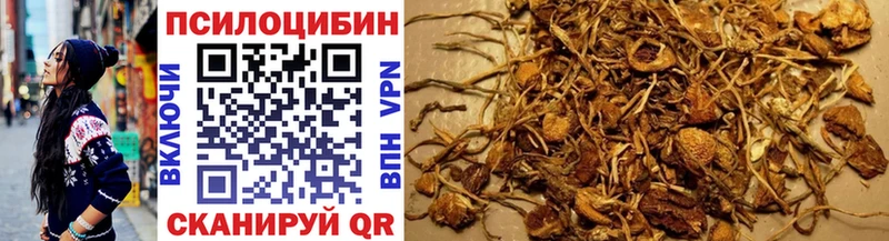 Псилоцибиновые грибы прущие грибы  Урус-Мартан 