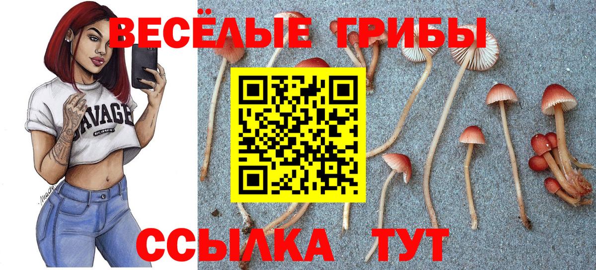 Урус-Мартан  Галлюциногенные грибы GOLDEN TEACHER  Вход с VPN 