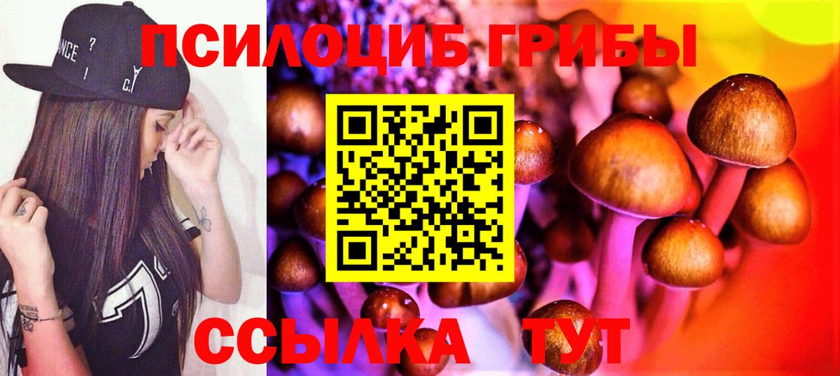 Галлюциногенные грибы ЛСД Урус-Мартан