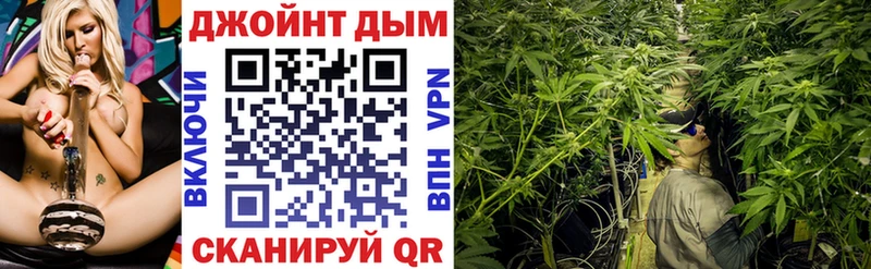 Конопля план  KRAKEN зеркало  Урус-Мартан 